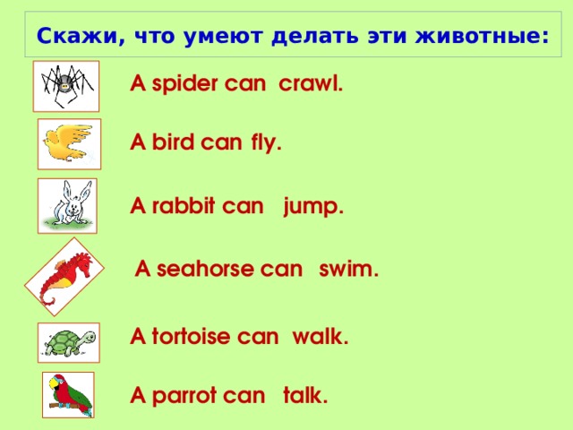 Cкажи, что умеют делать эти животные: A spider can crawl. fly. A bird can A rabbit can jump. A seahorse can swim. A tortoise can walk. A parrot can talk.