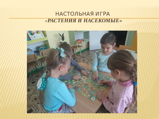 Настольная игра  « Растения и насекомые»