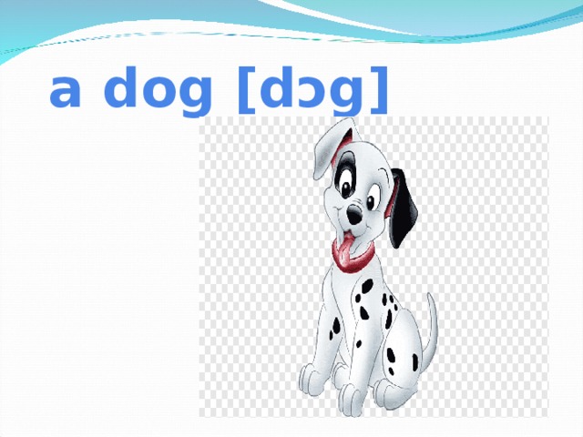 a dog [dɔg]