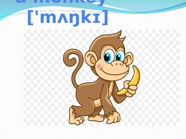 a monkey ['mʌŋkɪ]