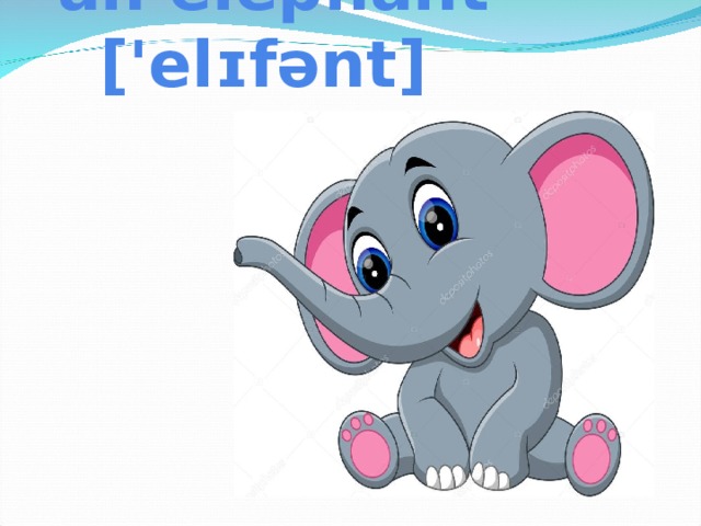 an elephant ['elɪfənt ]