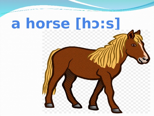 a horse [hɔ:s]