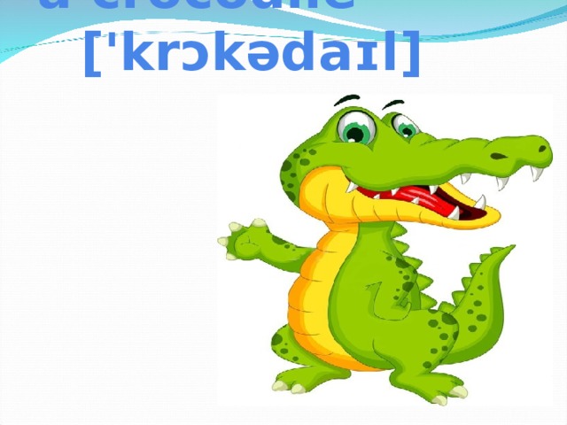 a crocodile ['krɔkədaɪl]
