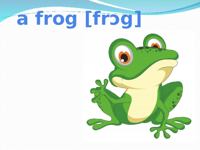 a frog [frɔg]