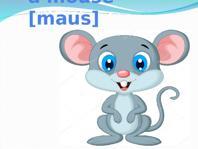 a mouse [maus]