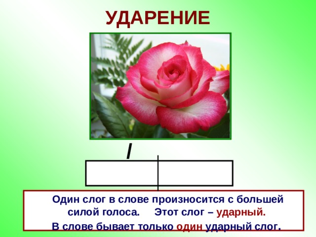 УДАРЕНИЕ /  Один слог в слове произносится с большей  силой голоса. Этот слог – ударный.  В слове бывает только один ударный слог .