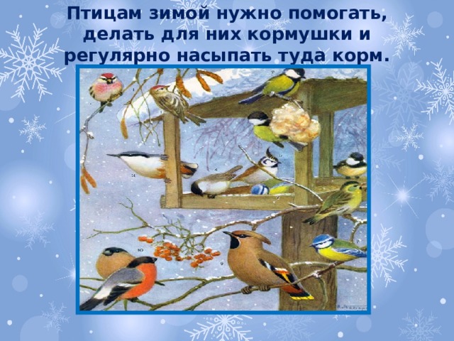 Птицам зимой нужно помогать, делать для них кормушки и регулярно насыпать туда корм.