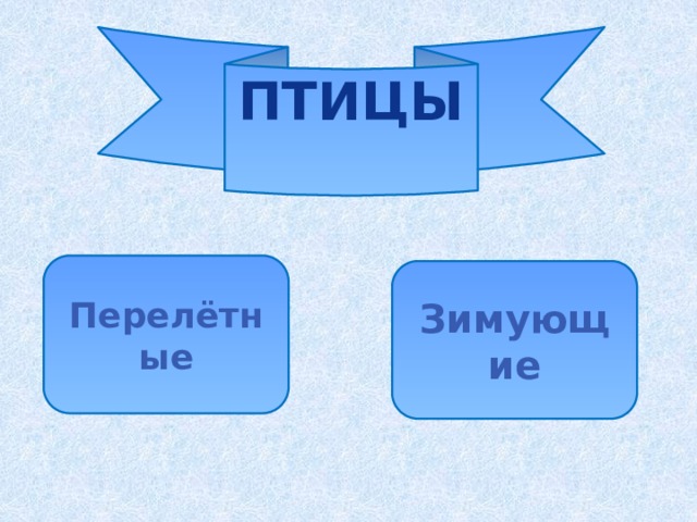 Птицы Перелётные Зимующие