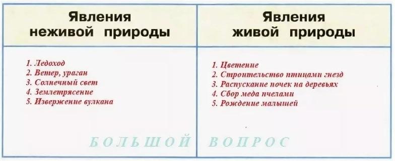 Какие явления можно наблюдать в живой природе