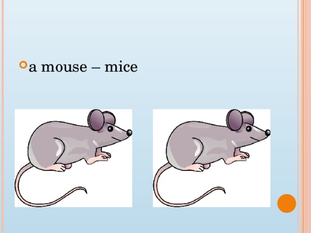 a mouse – mice