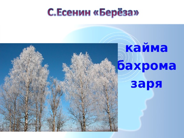 Выразительные языковые средства:   Метафора  – употребление слов в переносном значении,  Олицетворение -  когда предметы неживой природы изображаются как живые существа