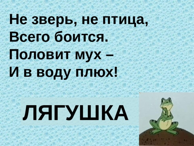 Не зверь, не птица,  Всего боится.  Половит мух –  И в воду плюх! ЛЯГУШКА