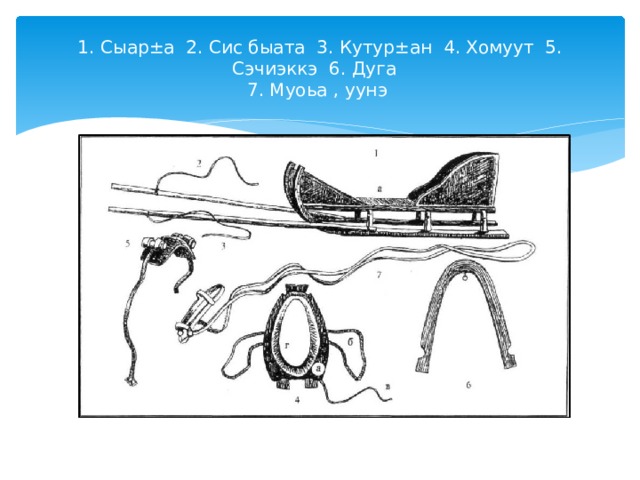 1. Сыар ± а 2. Сис быата 3. Кутур ± ан 4. Хомуут 5. Сэчиэккэ 6. Дуга  7. Муоьа , уунэ