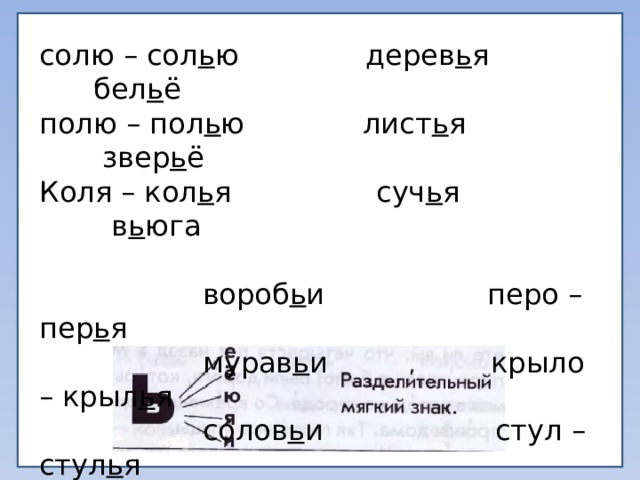 солю – сол ь ю дерев ь я бел ь ё полю – пол ь ю лист ь я звер ь ё Коля – кол ь я суч ь я в ь юга  вороб ь и перо – пер ь я  мурав ь и крыло – крыл ь я  солов ь и стул – стул ь я  руч ь и брат - брат ь я