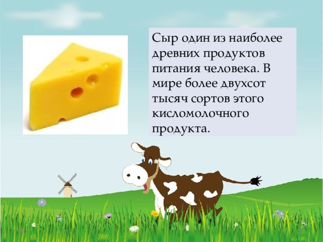 Сыр один из наиболее древних продуктов питания человека. В мире более двухсот тысяч сортов этого кисломолочного продукта.