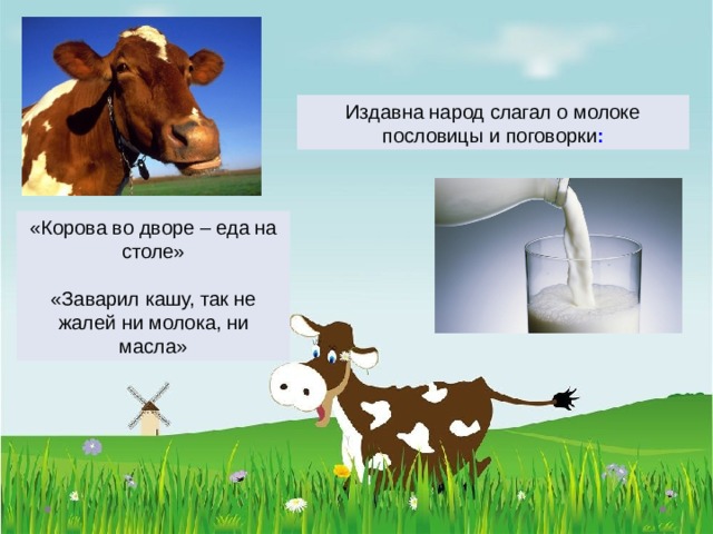 Издавна народ слагал о молоке пословицы и поговорки : «Корова во дворе – еда на столе» «Заварил кашу, так не жалей ни молока, ни масла»