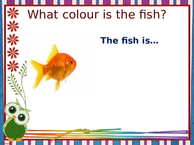 What colour is the fish? The fish is…