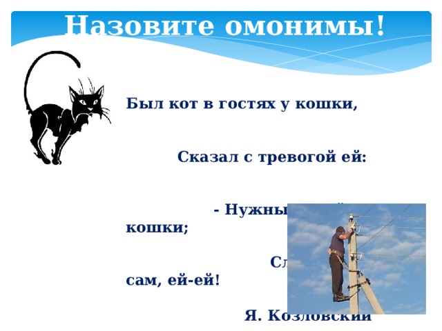 Назовите омонимы! Был кот в гостях у кошки, Сказал с тревогой ей: - Нужны монтёру кошки; Слыхал я сам, ей-ей!   Я. Козловский