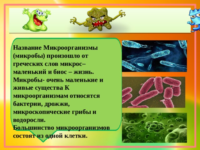 Название Микроорганизмы (микробы) произошло от греческих слов микрос– маленький и биос – жизнь. Микробы- очень маленькие и живые существа К микроорганизмам относятся бактерии, дрожжи, микроскопические грибы и водоросли. Большинство микроорганизмов состоят из одной клетки.