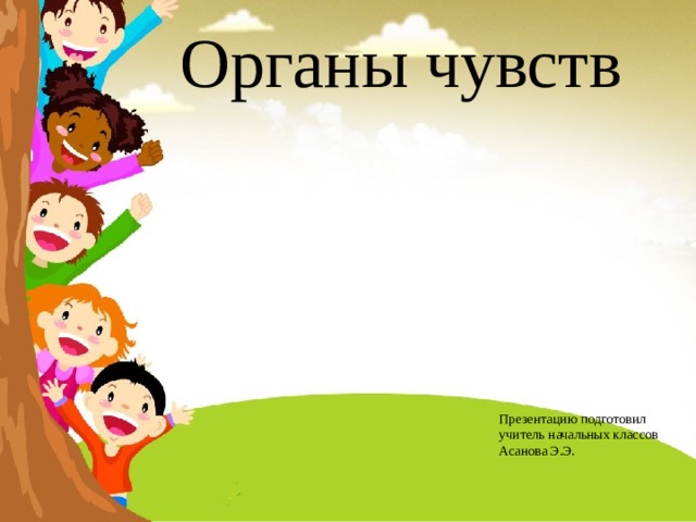 Органы чувств  Презентацию подготовил  учитель начальных классов  Асанова Э.Э.