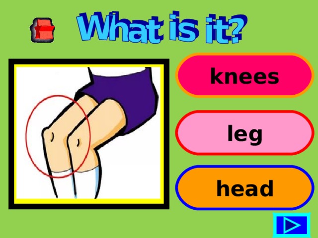 knees leg head