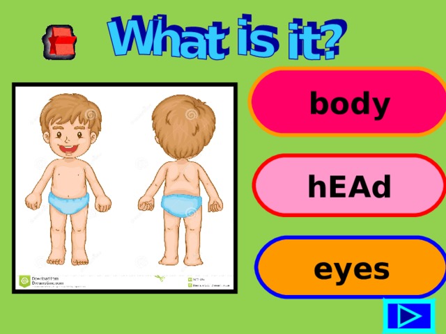 body hEAd eyes