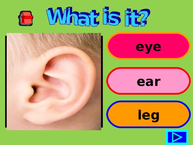 eye ear leg