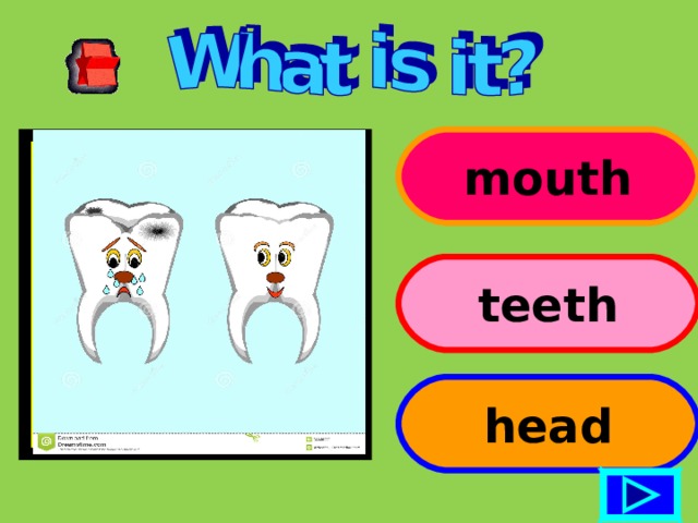 mouth teeth head