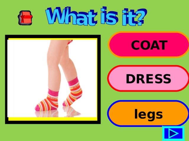 COAT DRESS legs