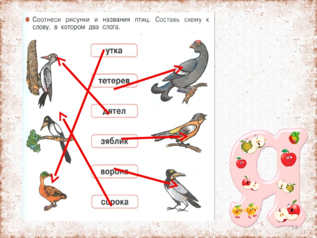 Соотнеси изображение с названием