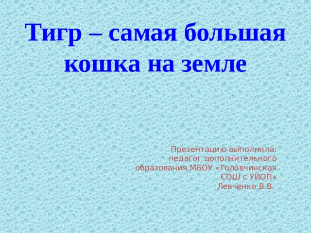 Тигр – самая большая кошка на земле Презентацию выполнила: педагог дополнительного образования МБОУ «Головчинская СОШ с УИОП»  Левченко В.В.