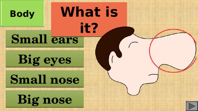 Body What is it? Small ears Big eyes Small nose Big nose