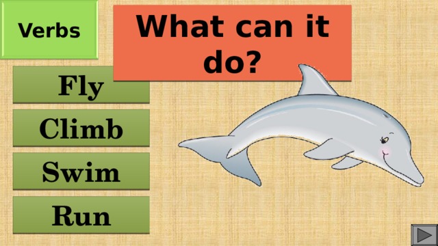 Verbs What can it do? Fly Climb Swim Run