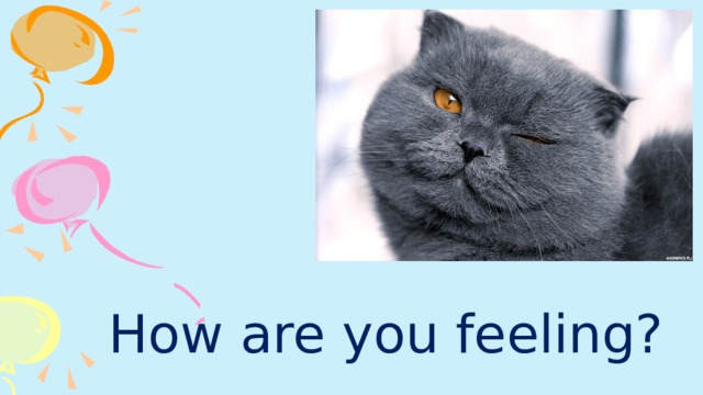 How are you feeling?