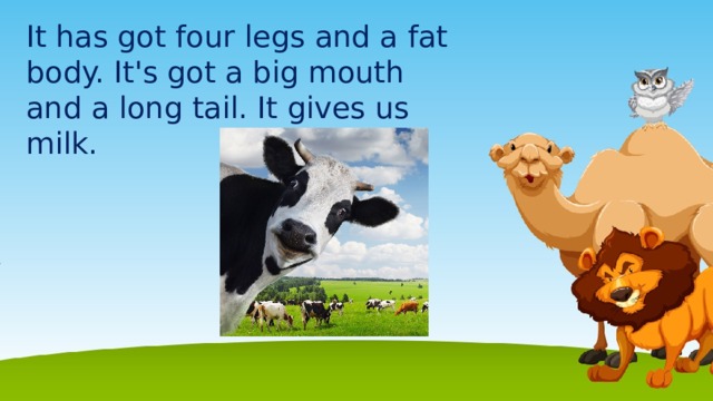 It has got four legs and a fat body. It's got a big mouth and a long tail. It gives us milk.