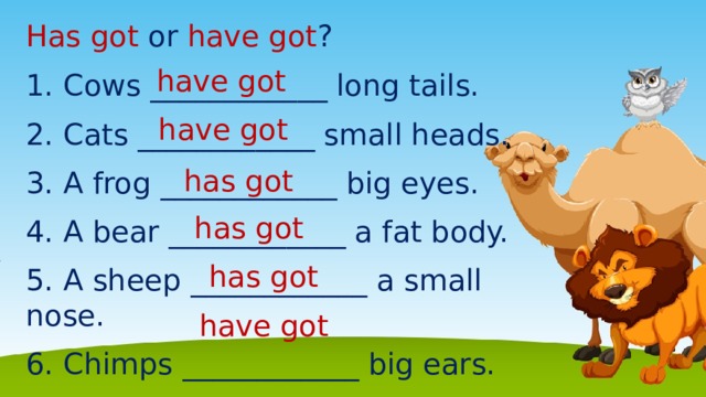 Has got or have got ? have got 1. Cows ____________ long tails. 2. Cats ____________ small heads. 3. A frog ____________ big eyes. 4. A bear ____________ a fat body. 5. A sheep ____________ a small nose. 6. Chimps ____________ big ears. have got has got has got has got have got