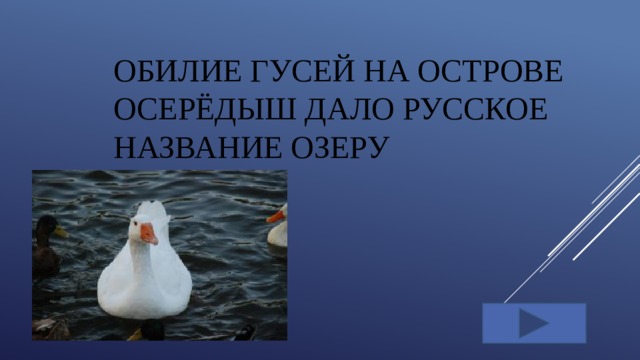 Обилие гусей на острове Осерёдыш дало русское название озеру
