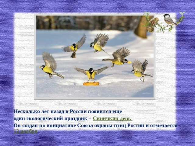 Презентация праздник птиц 1 класс школа россии. Экологическое мероприятие птицы 7 класс.