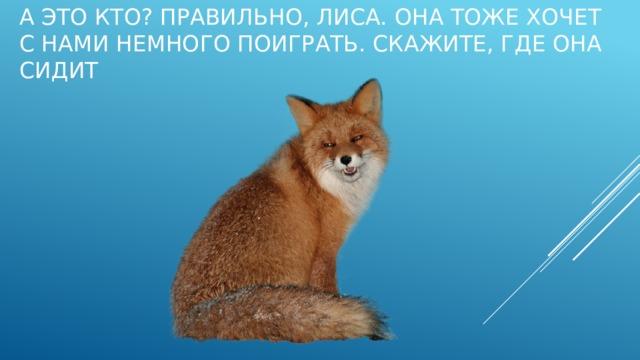 А это кто? Правильно, лиса. Она тоже хочет с нами немного поиграть. Скажите, где она сидит