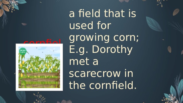 cornfield   a field that is used for growing corn; E.g. Dorothy met a scarecrow in the cornfield.