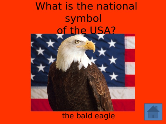 What is the national symbol of the USA? the bald eagle