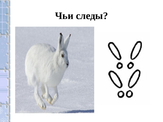 Чьи следы?