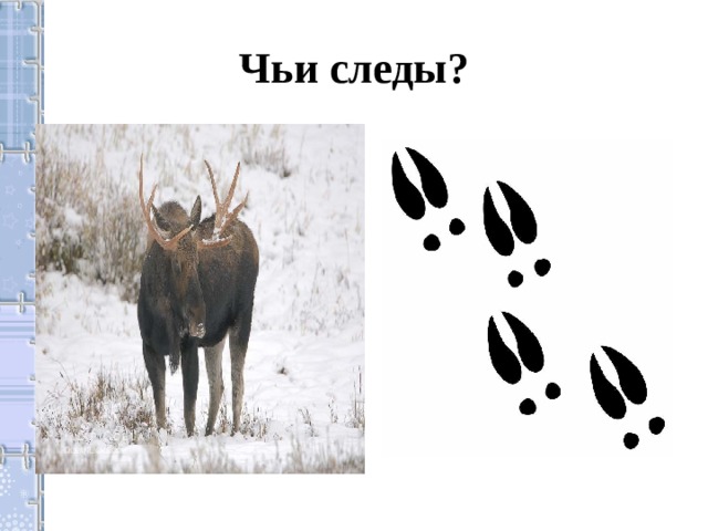 Чьи следы?