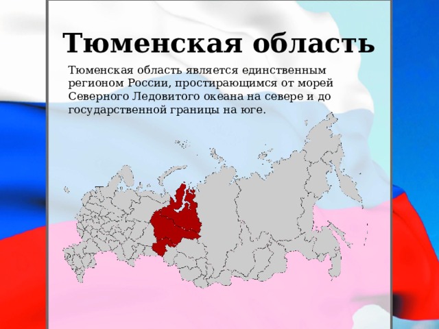 Тюменская область Тюменская область является единственным регионом России, простирающимся от морей Северного Ледовитого океана на севере и до государственной границы на юге.