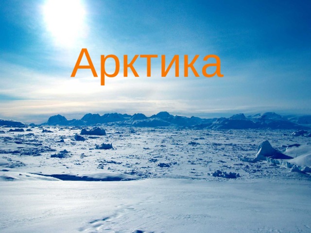 Арктика