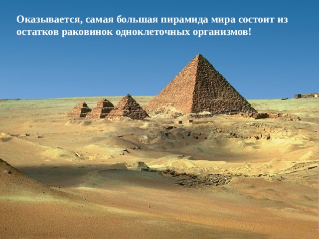 Оказывается, самая большая пирамида мира состоит из остатков раковинок одноклеточных организмов!