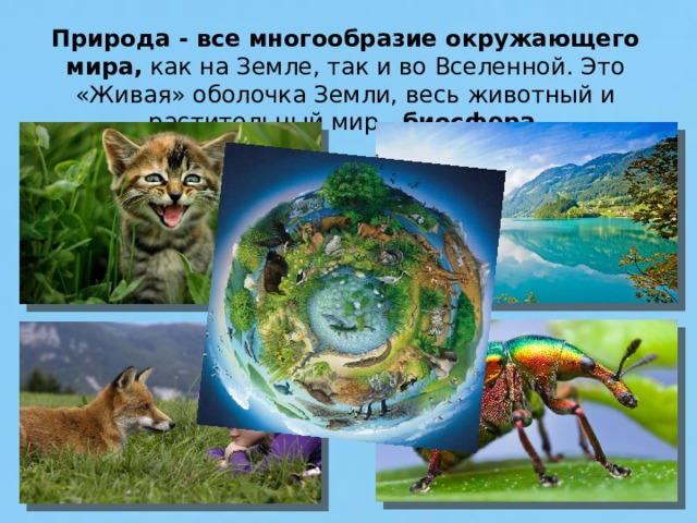 Природа -  все многообразие окружающего мира, как на Земле, так и во Вселен­ной. Это «Живая» оболочка Земли, весь животный и растительный мир - биосфера .