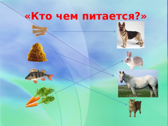 «Кто чем питается?»