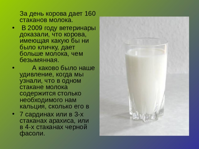 За день корова дает 160 стаканов молока.