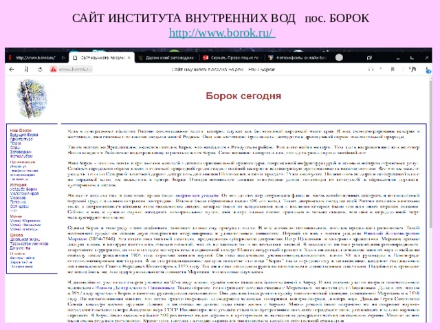 САЙТ ИНСТИТУТА ВНУТРЕННИХ ВОД пос. БОРОК http://www.borok.ru/